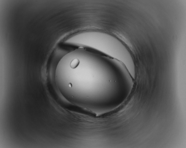 X0000093160584200710031447