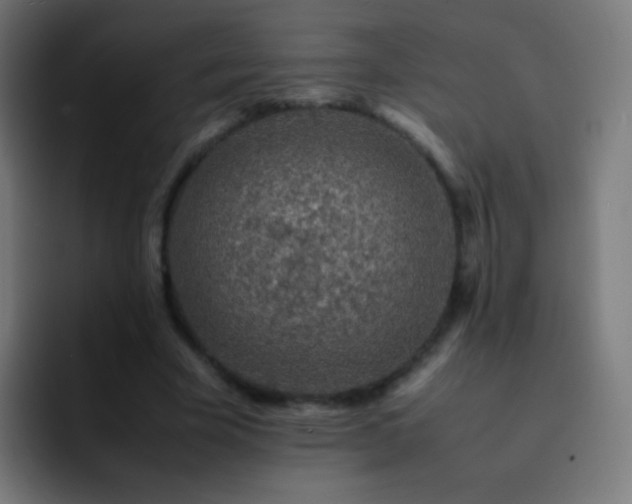 X0000093160585200710031447