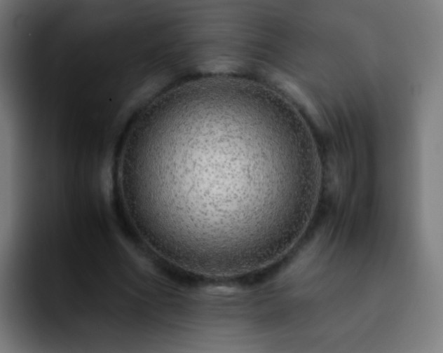 X0000093160586200710031447