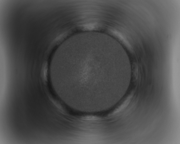 X0000093160590200710031447