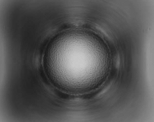 X0000093160594200710031447