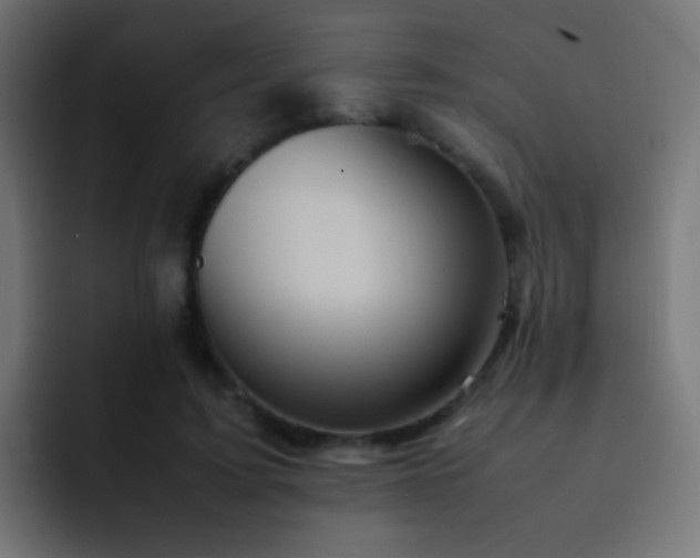 X0000093160595200710031447