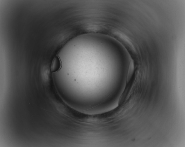X0000093160596200710031447