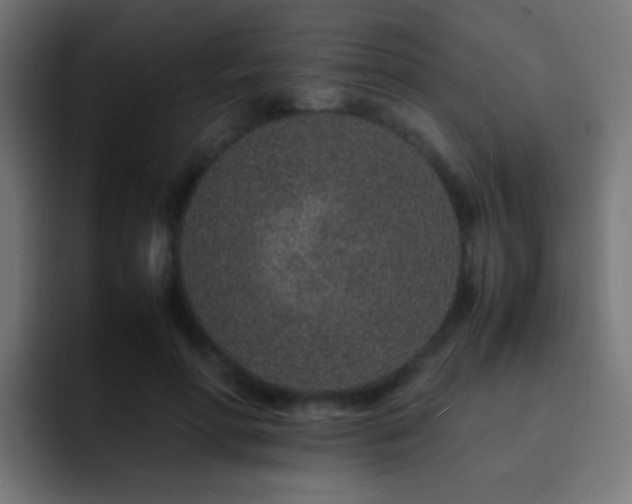 X0000093160598200710031447