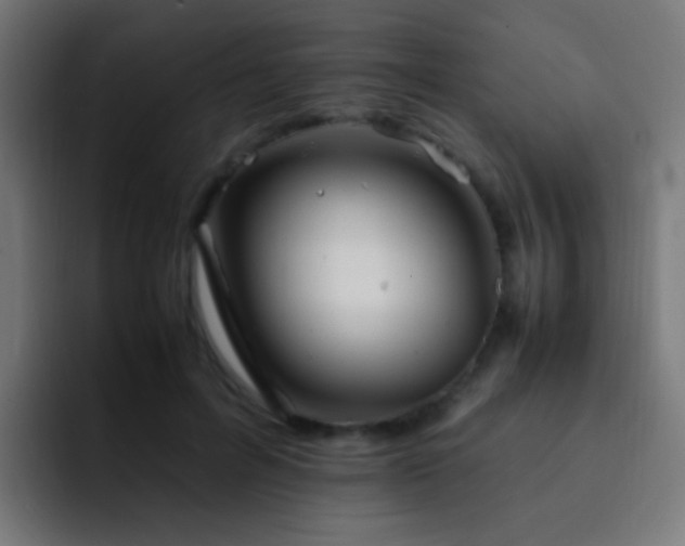 X0000093160600200710031447