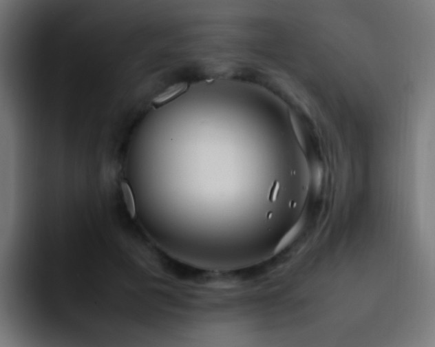 X0000093160601200710031447
