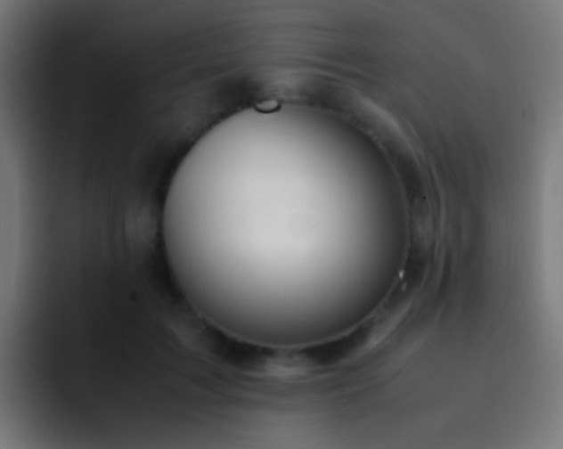 X0000093160603200710031447