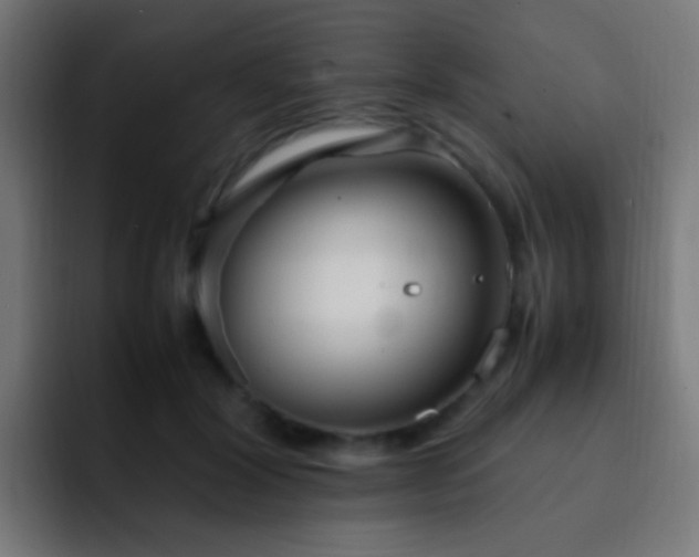 X0000093160604200710031447