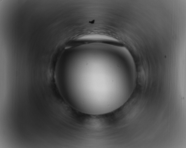 X0000093160608200710031447