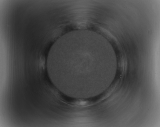 X0000093160610200710031447