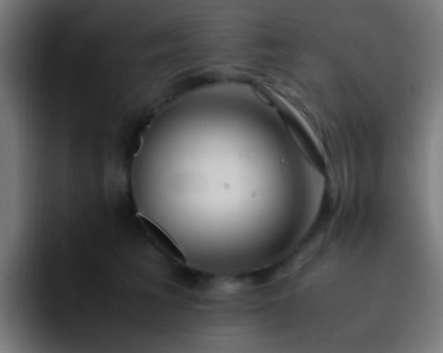X0000093160613200710031447