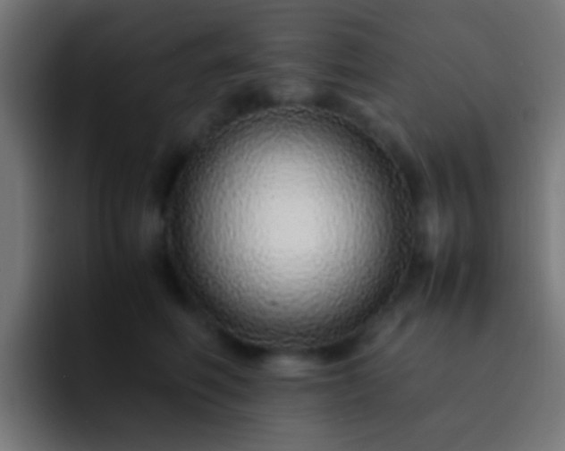 X0000093160614200710031447