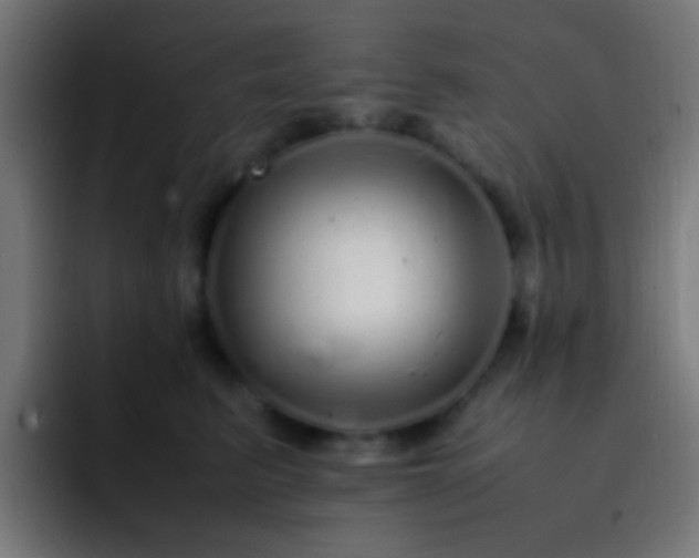 X0000093160615200710031447