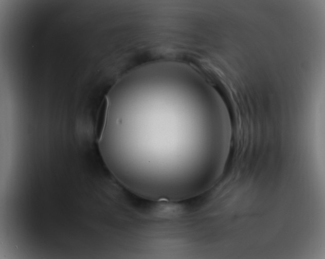 X0000093160617200710031447