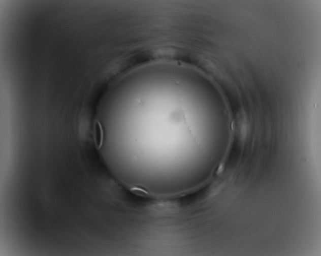 X0000093160619200710031447