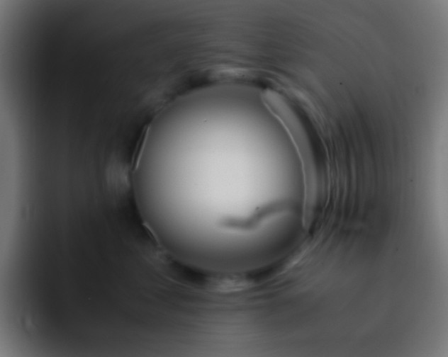 X0000093160621200710031447