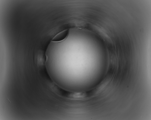 X0000093160622200710031447