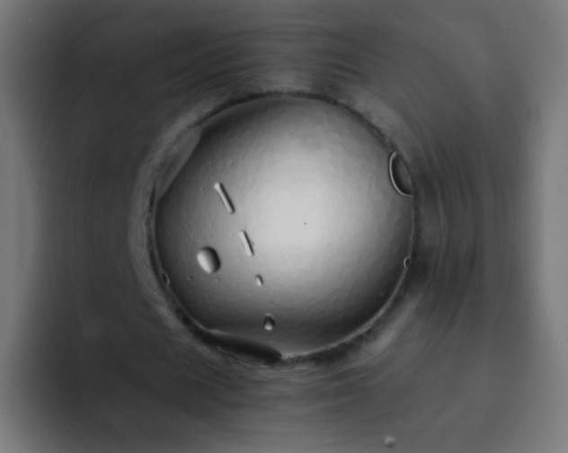 X0000093160625200710031446