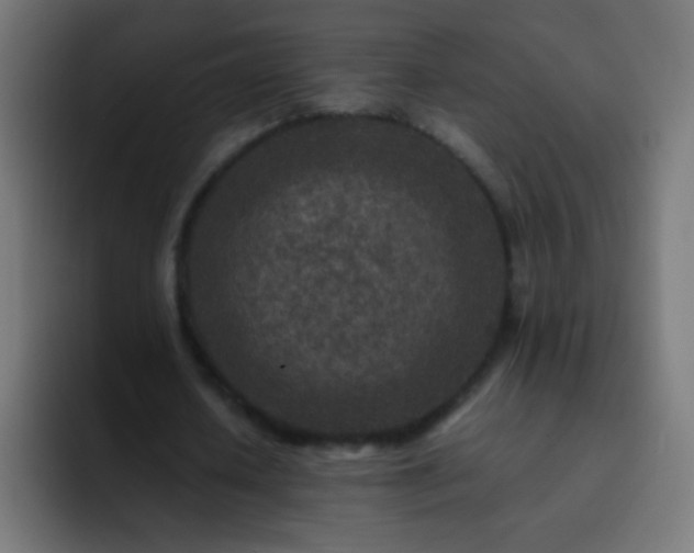 X0000093160626200710031446