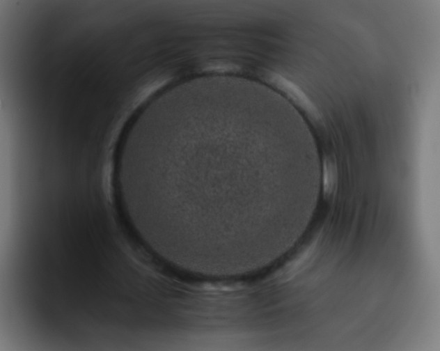 X0000093160627200710031446