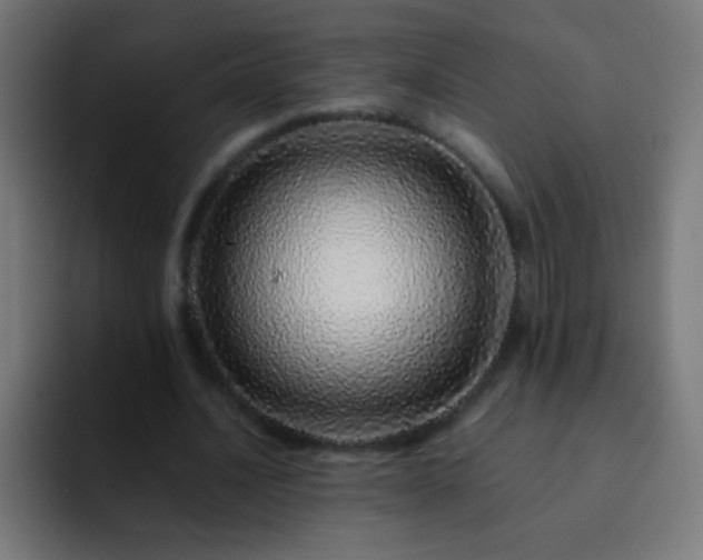 X0000093160628200710031446