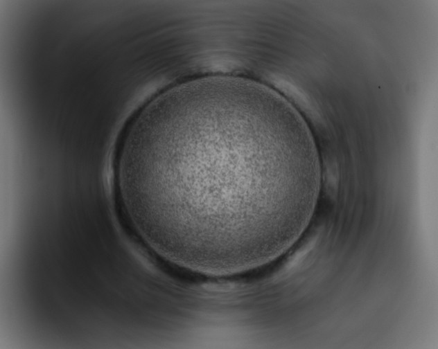 X0000093160630200710031446