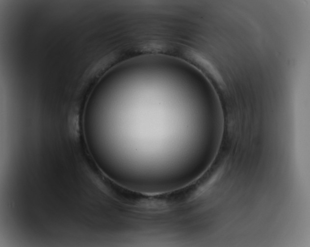 X0000093160633200710031446