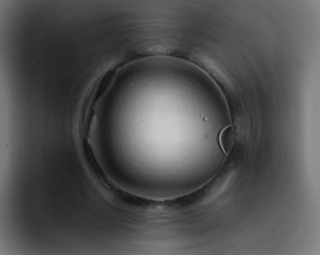 X0000093160634200710031446