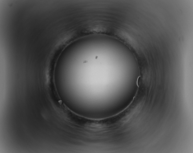 X0000093160635200710031446
