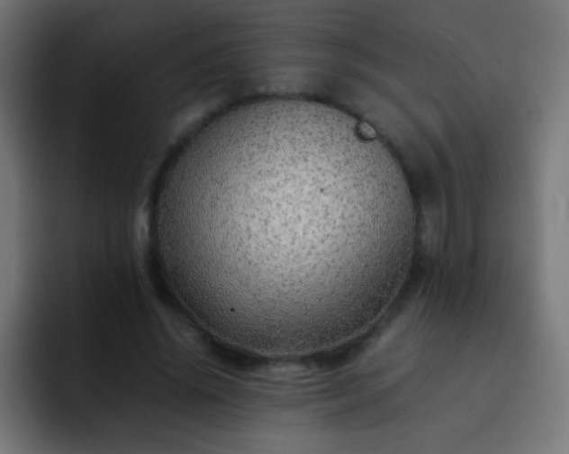 X0000093160636200710031446