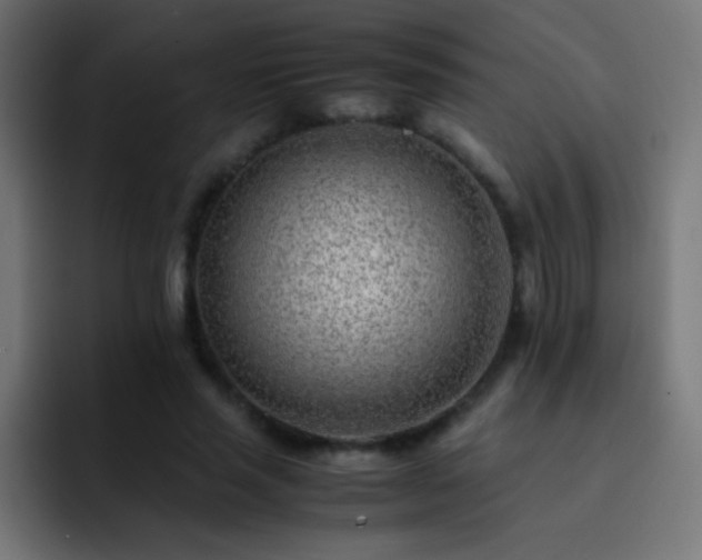 X0000093160637200710031446