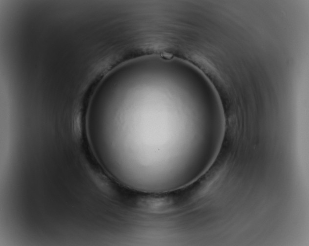 X0000093160638200710031446