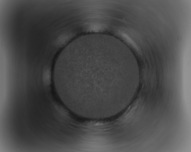 X0000093160640200710031446