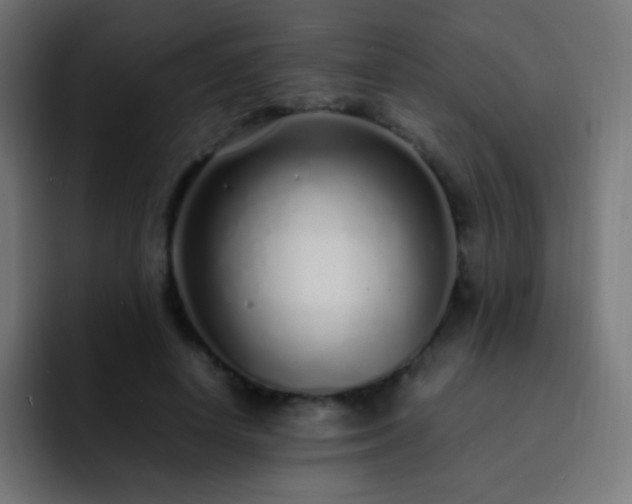 X0000093160642200710031446