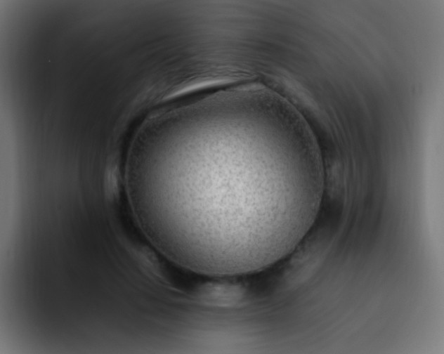 X0000093160644200710031446