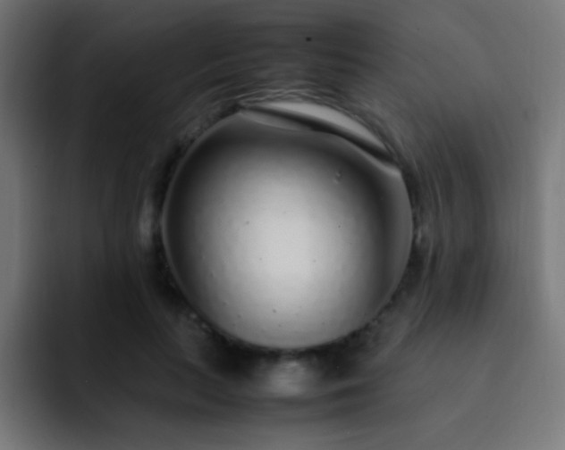 X0000093160647200710031446