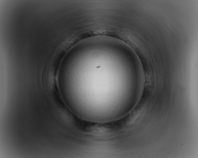 X0000093160648200710031446