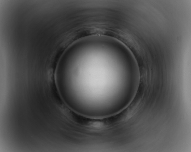 X0000093160649200710031446