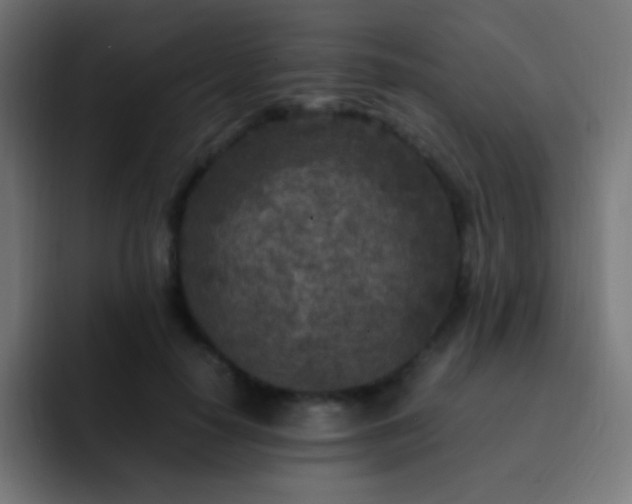 X0000093160650200710031446