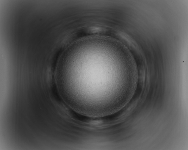 X0000093160653200710031446