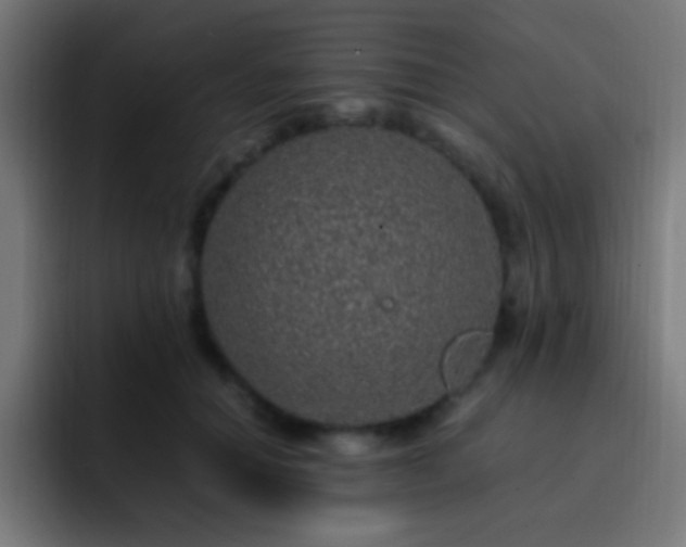 X0000093160654200710031446