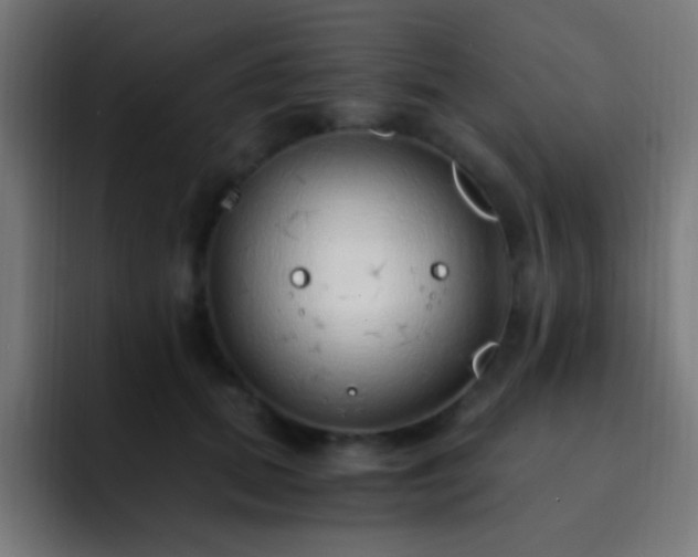 X0000093160655200710031446
