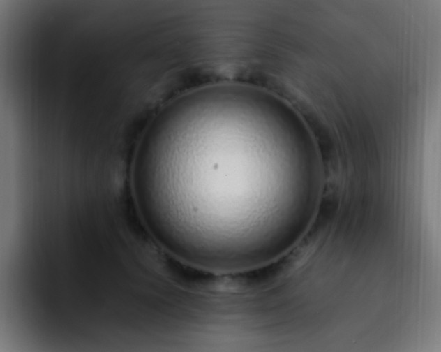 X0000093160656200710031446