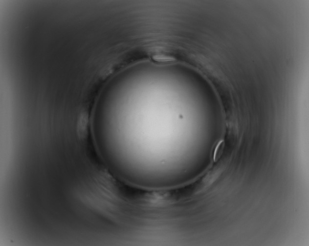 X0000093160660200710031447
