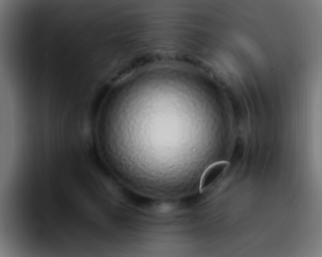 X0000093160662200710031447