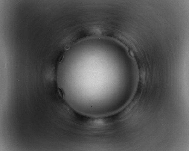 X0000093160665200710031447