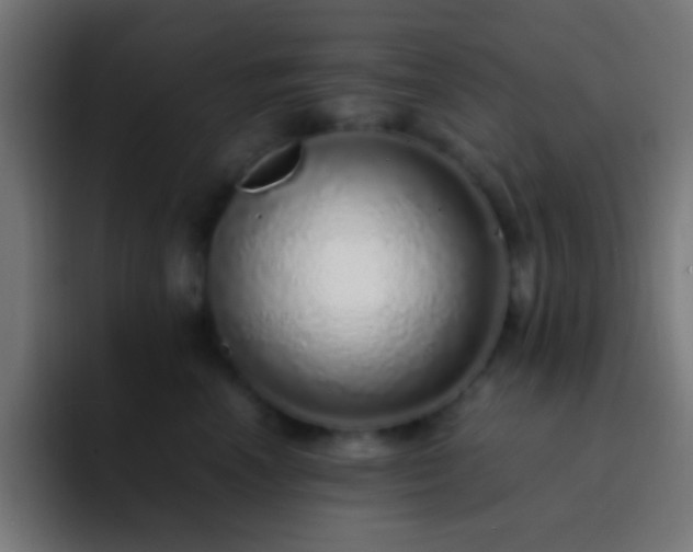 X0000093160666200710031447