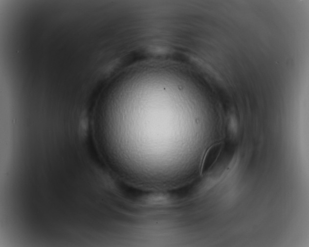 X0000093160668200710031447
