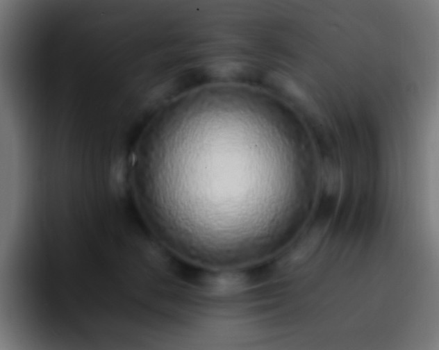 X0000093160670200710031447
