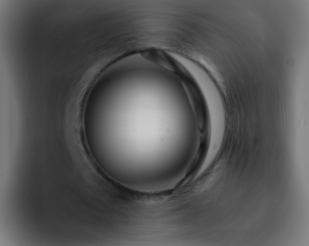 X0000093160673200710031446